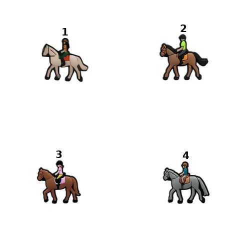 PINS EQUITATION