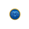 PINS AVATAR
