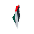 PINS FREE GAZA