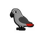 PINS OISEAUX