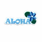 PINS HAWAII