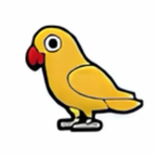 PINS OISEAUX
