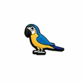 PINS OISEAUX