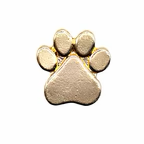 PINS GOLD & SILVER