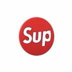 PINS LOGO