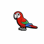 PINS OISEAUX