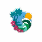 PINS HAWAII