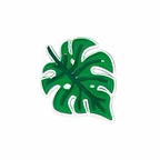 PINS FLORAL