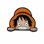 PINS ONE PIECE