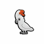 PINS OISEAUX