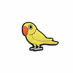 PINS OISEAUX