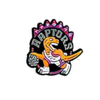 PINS NBA