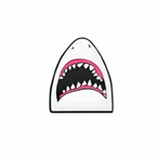 PINS REQUIN