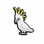 PINS OISEAUX