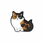 PINS CHATS