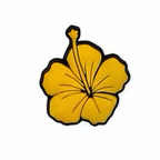 PINS FLORAL