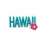 PINS HAWAII