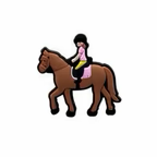 PINS EQUITATION