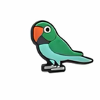 PINS OISEAUX