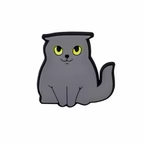 PINS CHATS
