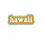 PINS HAWAII