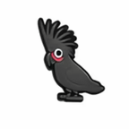 PINS OISEAUX