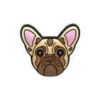 PINS CHIEN