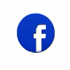 PINS LOGO