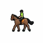 PINS EQUITATION
