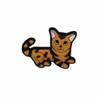 PINS CHATS