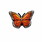 PINS PAPILLONS