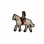PINS EQUITATION