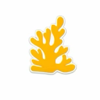PINS MER