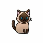 PINS CHATS