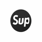 PINS LOGO