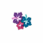 PINS HAWAII